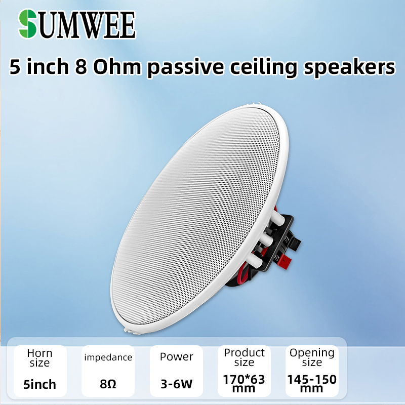 Home Cinema Encastrable - SUMWEE Haut-parleurs de plafond passifs à