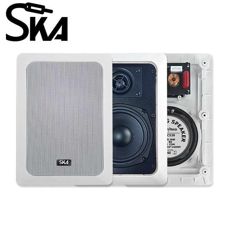 Haut-parleur mural rectangulai - Home Cinema Encastrable avis et prix