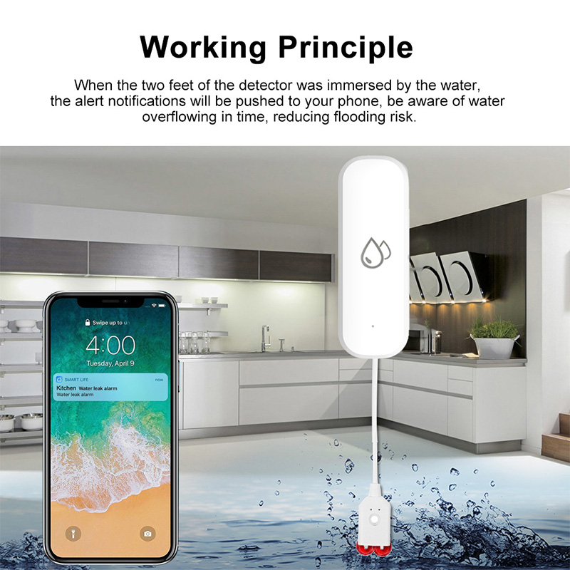 Capteur d'alarme de fuite d'ea - Home Cinema Alexa avis et prix